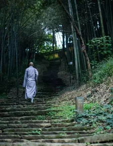 跟和尚做邻居,文艺与西湖抢风景,70后文艺大叔把床藏在山中,睡遍了四季