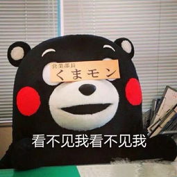 身残志坚轮椅大盗破窗入室偷了台电视