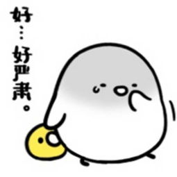 十条段子买两件衣服,可以同时穿在身上,你买两个包能全拎吗
