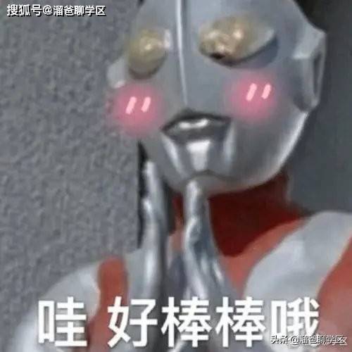 2020年成都小学划片信息最全汇总