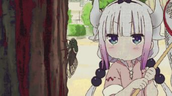 小林家的妹抖龙tv03康娜酱表情包
