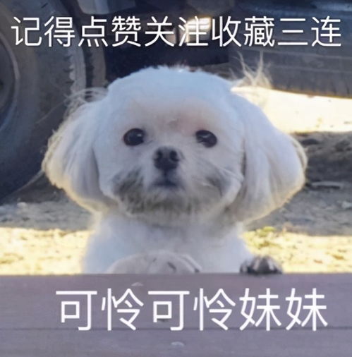 wildfieldhealth吃不胖的人到底是怎么回事