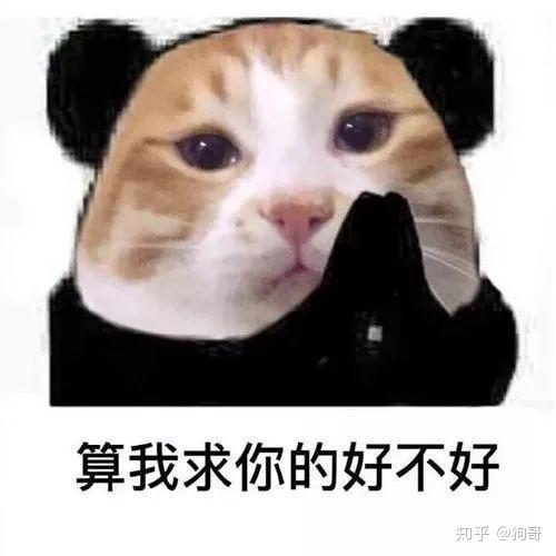 我回来了表情包猫砂