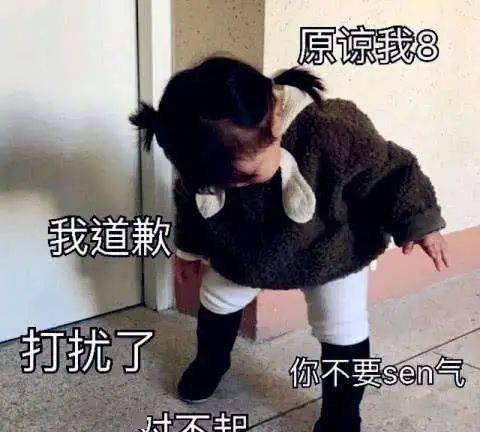 跪下唱征服的表情包道歉