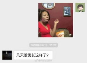 giao哥成了我新男友爸妈对表情包的理解让人崩溃哈哈哈