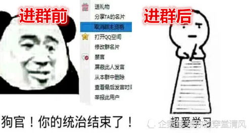 表情班主任进群前vs后表情包,画风突变,网友求生欲也太强了表情