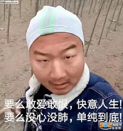 不能哭不能哭表情包闰土刺猹身上纹表情包图片下载乐游网游戏下载