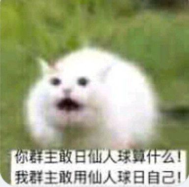 姐妹你也不赖嘛夸人表情包斗图表情