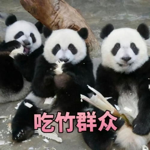 一句初学书法,不宜从楷书入手竟然激起了这么多反对的声音