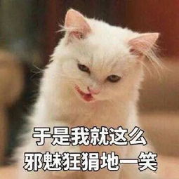 双十二拒绝套路九峰动物园真福利助你快速回血