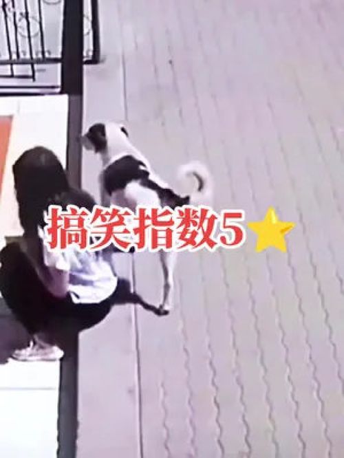 开心一刻笑一笑十年少搞笑像麦芒一样无畏生长