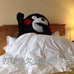 叫猪起床会动的表情包