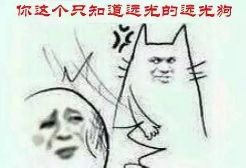 对不起,东营这个杀手,我必须曝光你