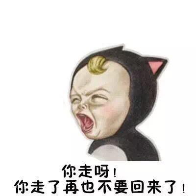 表情包女朋友最常说的9句话,会是全国统一吗