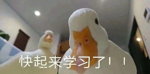 这份课表快收藏岛城名师免费辅导答疑,已有40余名师加入