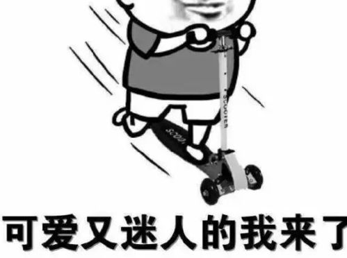 新年新玩法现面向全球莱西朋友征集新年祝福视频......