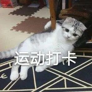 女生每天跳操2小时致横纹肌溶解,每周运动多久算合适