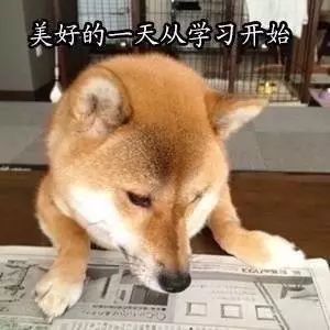 跨年攻略你get了吗单身狗