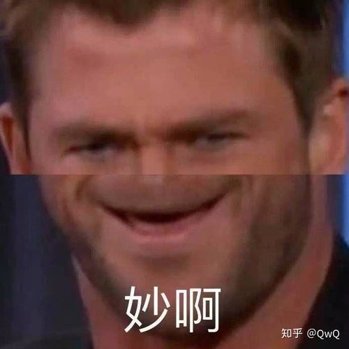 发现一个很好听的网名,少年他提灯怼猫,想和男朋友用作情侣名,有大神可以把女孩子用的对出来么