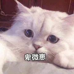 如果,辅导员掉水里了,你的专业可以为ta做什么