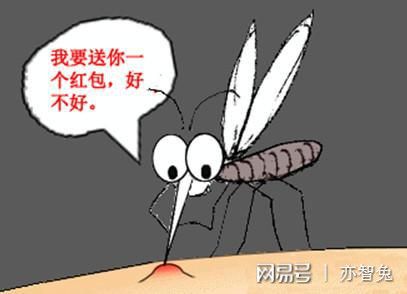 辟谣蚊子叮咬和血型无关
