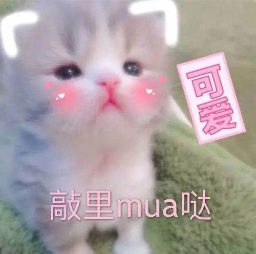 帮推艺见钟情,遇见最好的我们