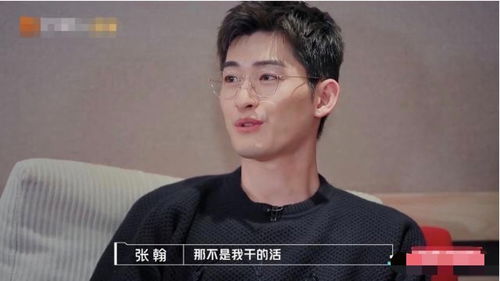 张翰桃花坞偶像包袱太重,演员参加综艺也应该有艺能感