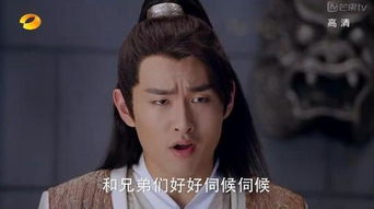 怎样下载有趣的表情包楚乔传