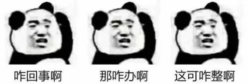 2017年度表情包大赏小猪佩奇,笑着活下去,边缘试探.你最爱