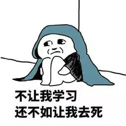 倒计时你离国考还有6个月
