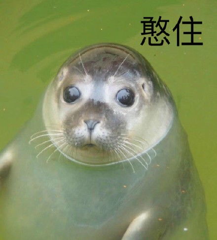 豹表情包豹微信表情包豹qq表情包发表情fabiaoqing.com