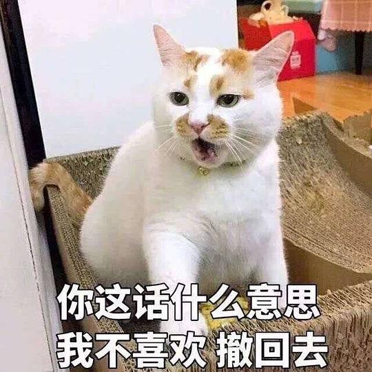 玫瑰沾白糖的相册天使猫猫的表情包