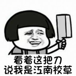 聊天斗图必备江南大学表情包1.0上线