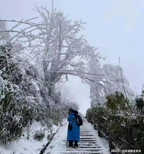 独游峨眉山失联女大学生已坠崖身亡死因成疑生前给闺蜜留言曝光