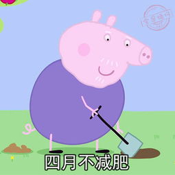 小猪佩奇四月不减肥表情包下载小猪佩奇四月不减肥系列表情包十二月诗歌短句高清完整版极光下载站