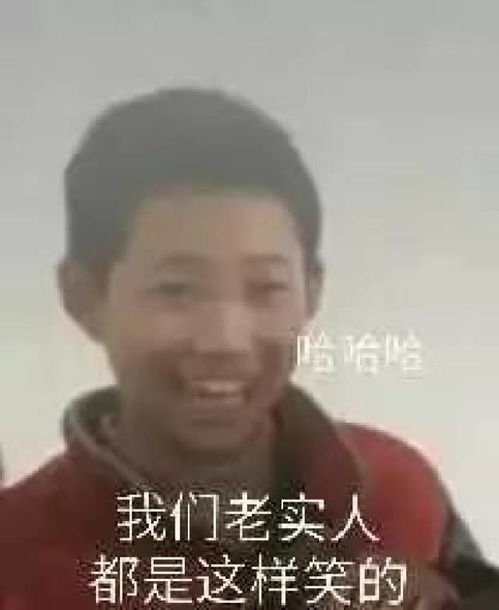 平凉斗图表情包搞笑gif