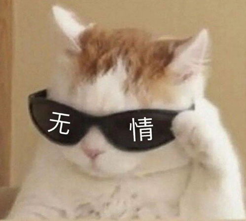 别再裹羽绒服了今冬流行的羊羔毛外套,保暖又时髦