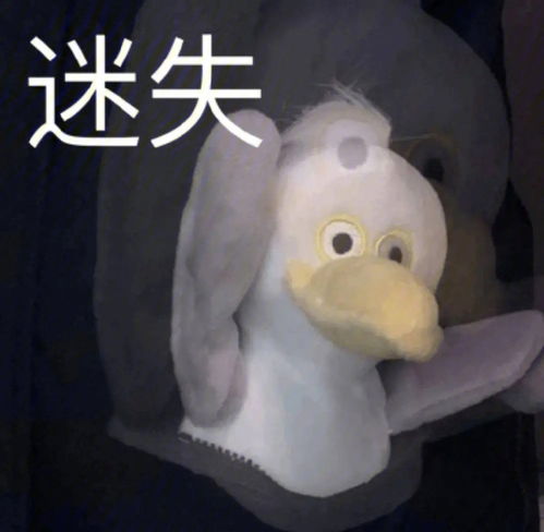 表情包更新可爱势力的凝视