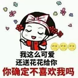 斗图系列表情包
