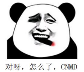 求一张斗图熊猫表情