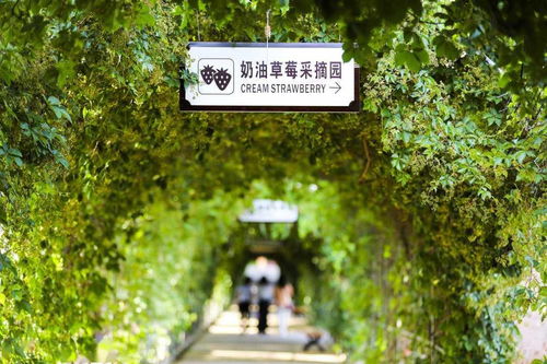 甘肃白银市白银区好风景带来好钱景