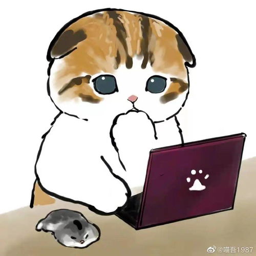 找实习套路多,研会帮您来避雷管理微言生活第二期