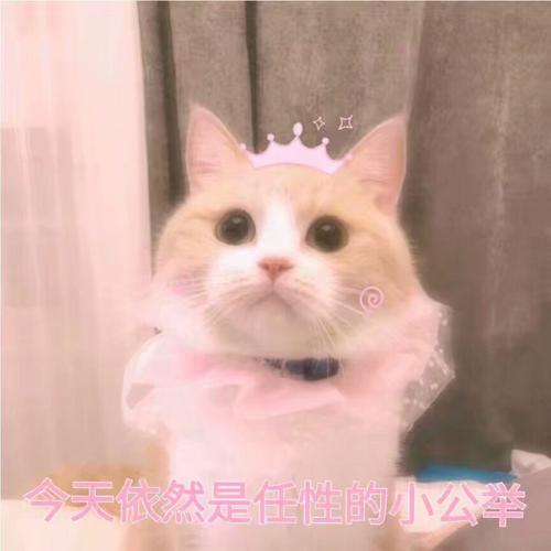 搞它一笑重点还是第二则哈哈哈哈哈哈哈