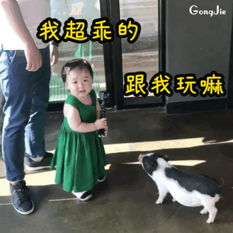 表情包今天开始超过五毛钱的活动别叫我了