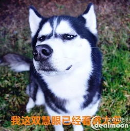 心塞我每天都滴的眼药水,竟然被美国fda召回