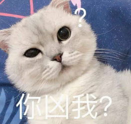 沙雕表情包现在不让你吃,是为了让你习惯更多没吃的日子