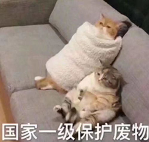 你是从哪首歌开始喜欢周杰伦的为什么呢