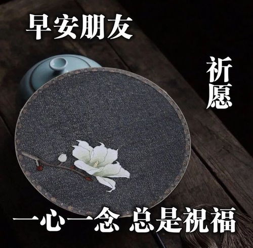 最能打动人心的早安问候,早上好带字问候图片