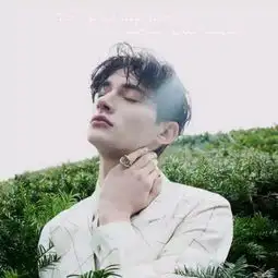 经典爱情语录你理想中的爱情是什么样的