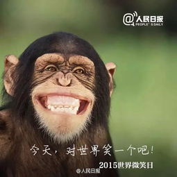 我们为何要反对动物表演为何不要去看野生动物马戏